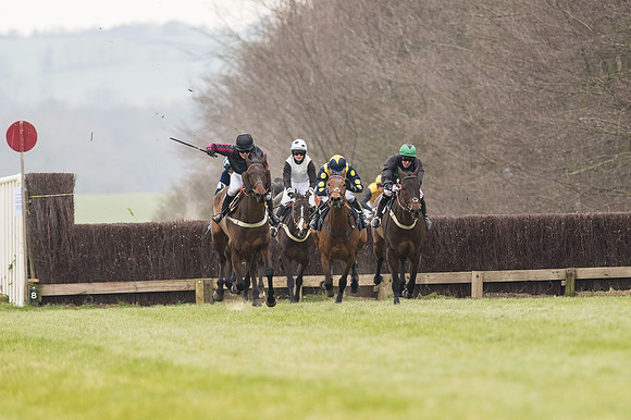 Race 2 - PPORA Novice riders  (136 of 186).jpg