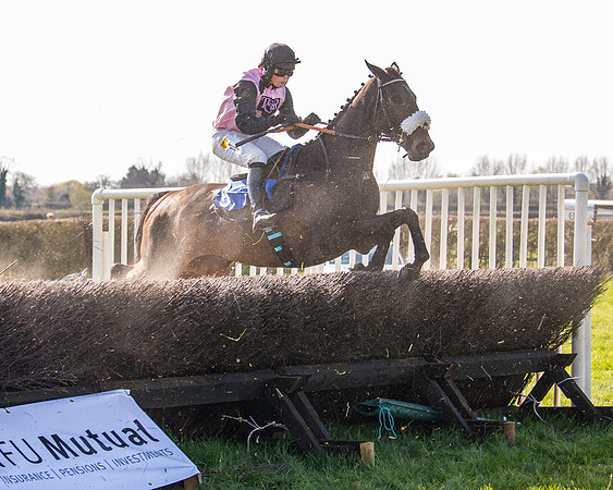 Race 5 - The Waverton Investment Management Ltd Restricted Race farmers and subscribers Race  (98 of 161)