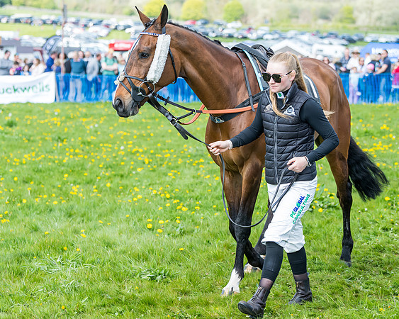 Race 2 - Veteran Horse  (4 of 82)