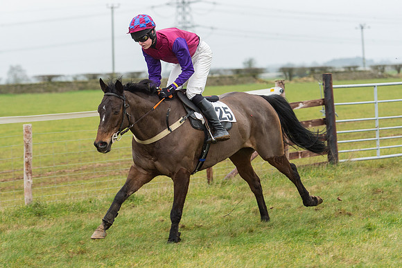 Race 6 - Open Maiden Race Div 1  (11 of 90).jpg