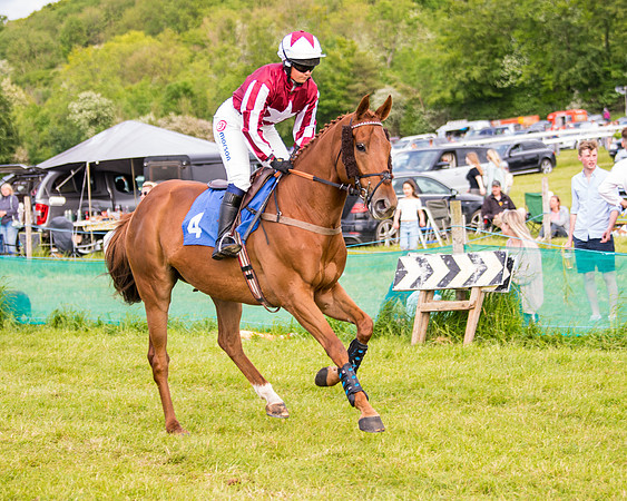 Race 6 - Open Maiden (73 of 346)