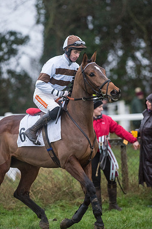 Race 8 - Young Horse Maiden  (36 of 85).jpg