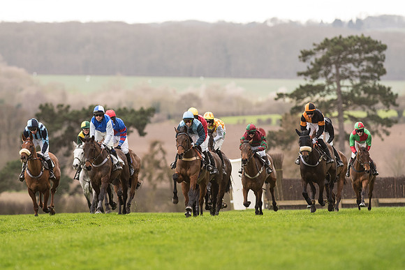 Race 2 - Young Horse Maiden (44 of 110).jpg