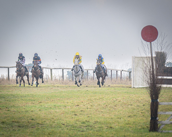 Pony Race 2 (8 of 79)