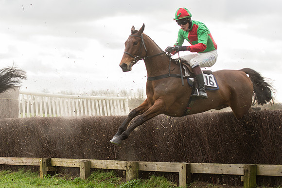Race 2 - Young Horse Maiden (59 of 110).jpg