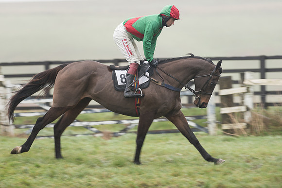 Race 5 - The Intermediate (22 of 59).jpg