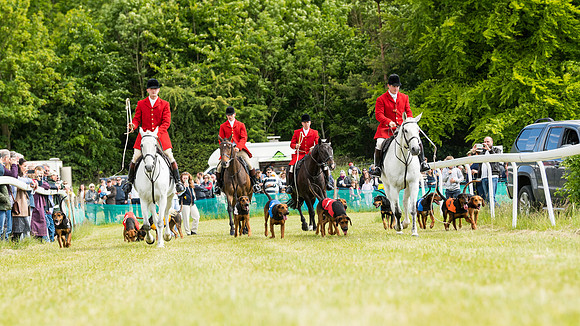 Hound Race  (5 of 49)