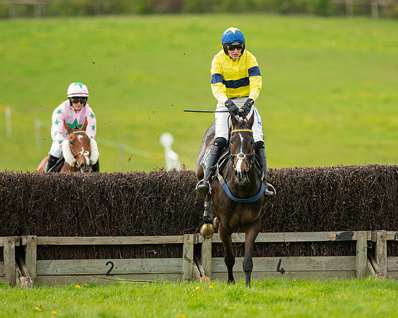 Race 5 - Open Maiden  (62 of 89)