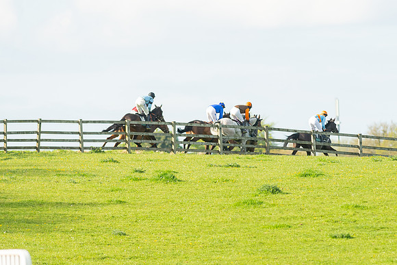 Race 7 - Maiden  (50 of 113)