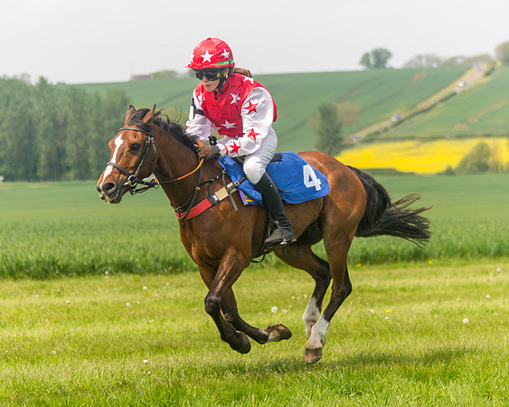 Pony Race 1 - 138cm (57 of 74)