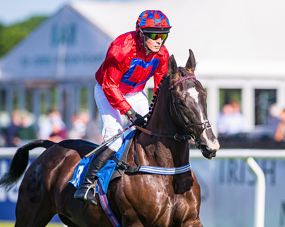 Race 1 - JFF Open Hunter Steeple Chase 2m  (30 of 202)