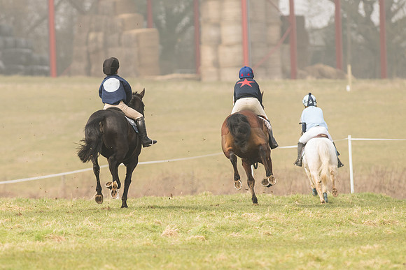 Pony Race 1 -  (27 of 31).jpg