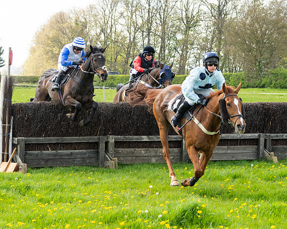 Race 2 - Veteran Horse  (65 of 82)