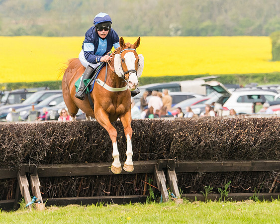 Race 2 - Owner-Trainer Conditions  (71 of 208)