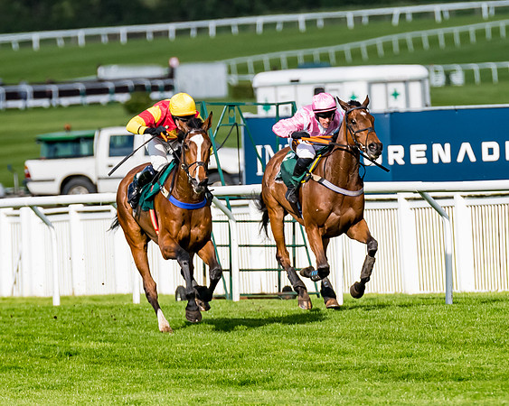 Race 2 - Lycetts Intermediate final  (196 of 310)