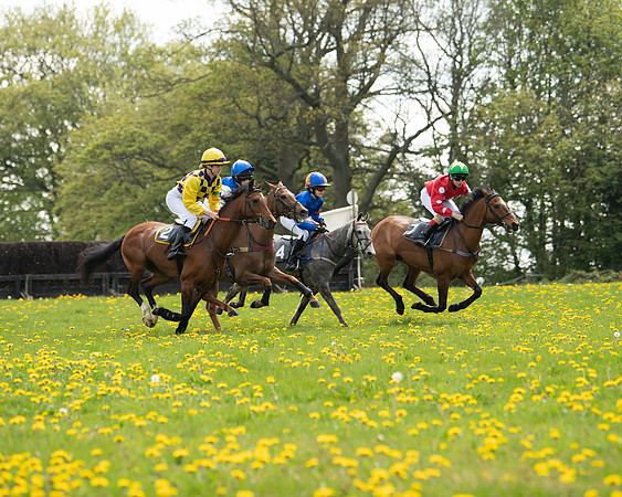 Ponies and Side saddle (7 of 69)
