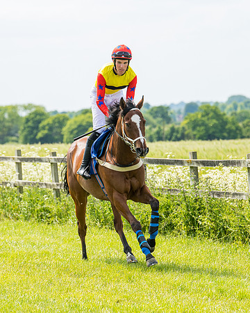 Race 2 - PPORA Novice Riders (131 of 444)