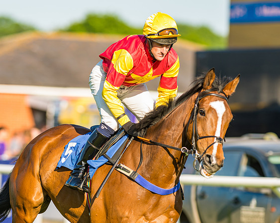 Race 3 - John Corbet Cup (36 of 127)