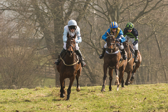 Pony Race 2 -  (5 of 32).jpg