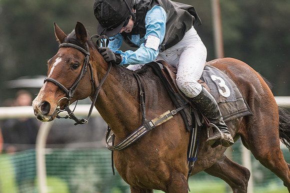 Pony Race 3 -  (19 of 20).jpg