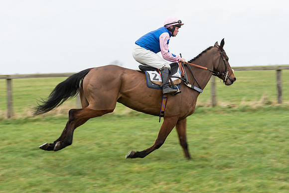 Race 7 - Open Maiden (32 of 131).jpg