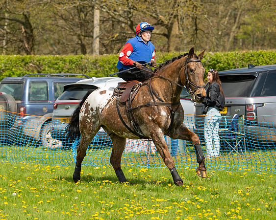 Ponies and Side saddle (61 of 69)