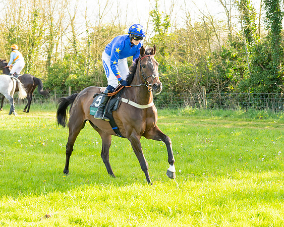 Race 7 - Maiden  (24 of 113)