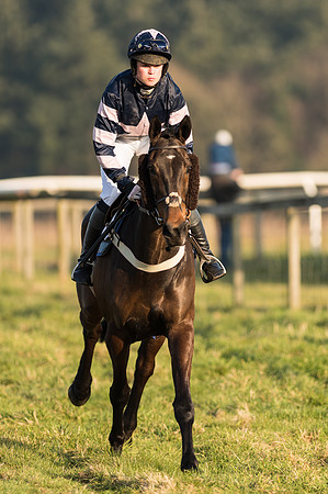 Race 6 - Open Maiden Div 1 (8 of 83).jpg