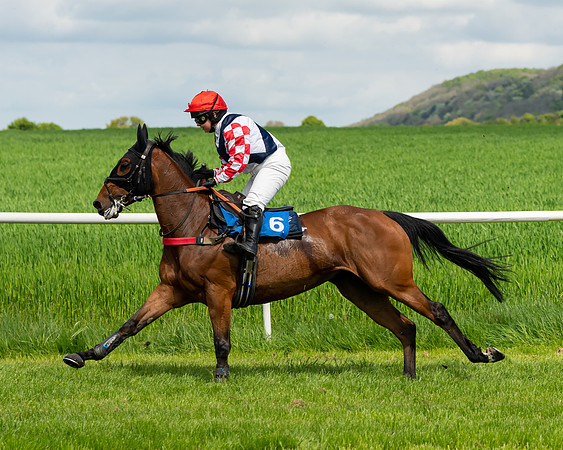 Race 1 - The Condiitions race (39 of 123)