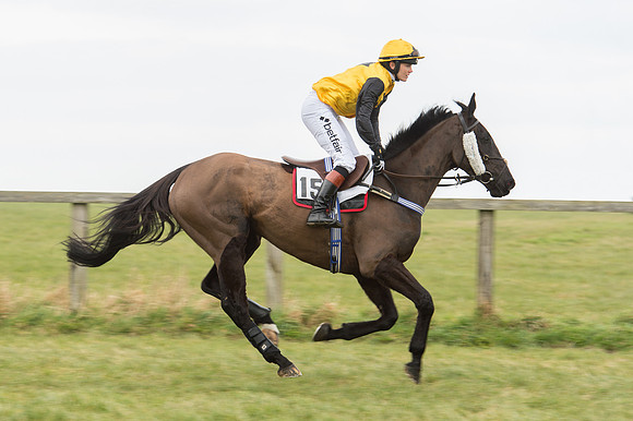 Race 2 - PPORA Novice riders  (40 of 186).jpg