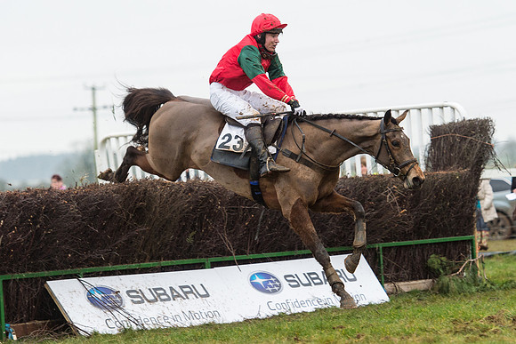 Race 6 - Open Maiden Race Div 1  (71 of 90).jpg