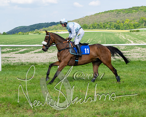Race 3 - Ladies Open  (61 of 133)