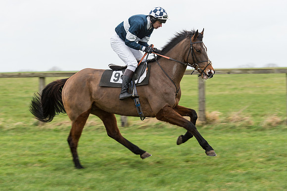 Race 7 - Open Maiden (7 of 131).jpg