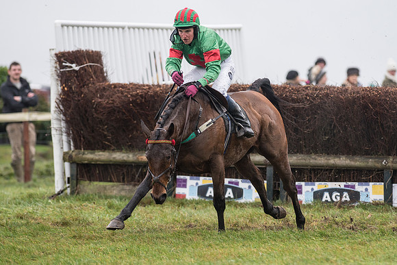 Race 5 - The Intermediate (54 of 59).jpg