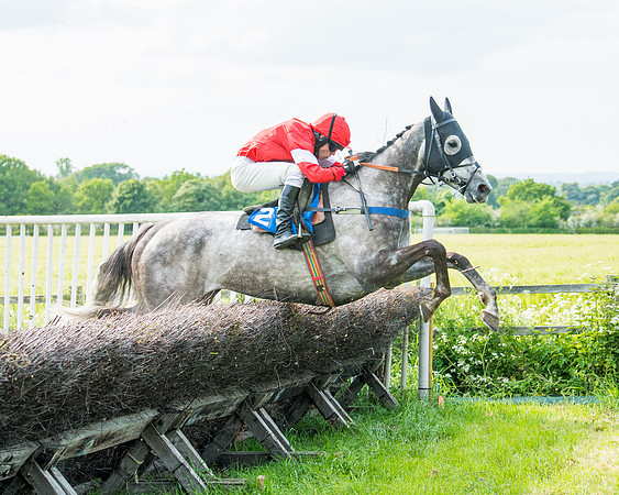 Race 6 - Open Maiden (203 of 346)