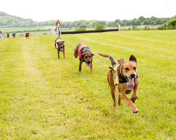 Draghounds Race (98 of 212)