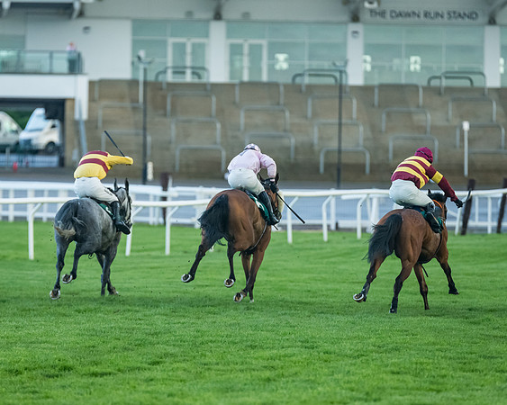 Race 5 - Mares Open  (158 of 329)