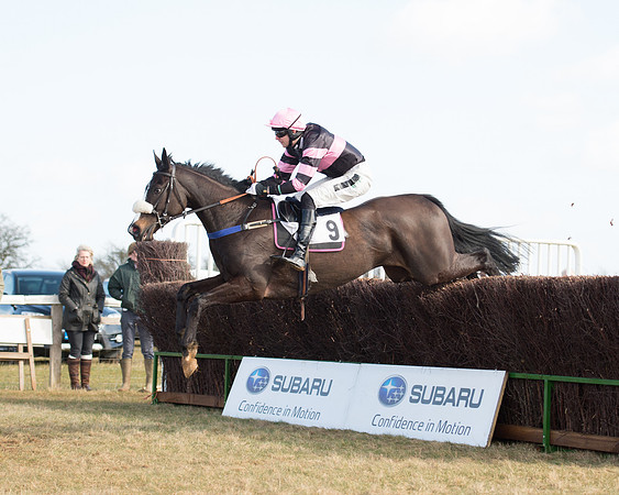 Race 1 - 4-5-6 Maiden (85 of 119).jpg