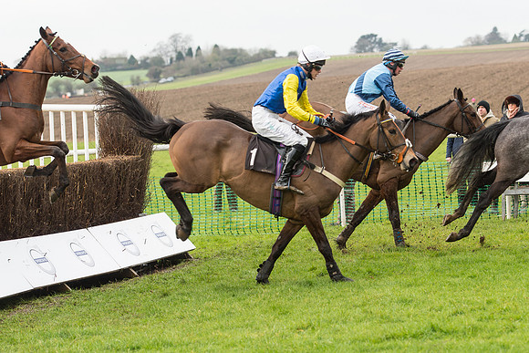 Race 1 - Young Horse Maiden (21 of 50).jpg