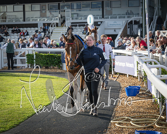 Race 4 - Peretemps Stratford Foxhunters (20 of 168)