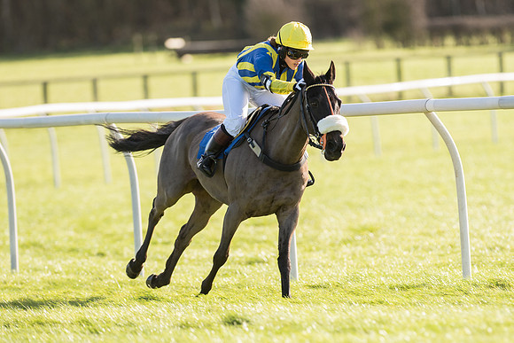 Pony Race 2 (21 of 22).jpg