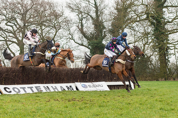 Race 5 - The Restricted Race (50 of 86).jpg