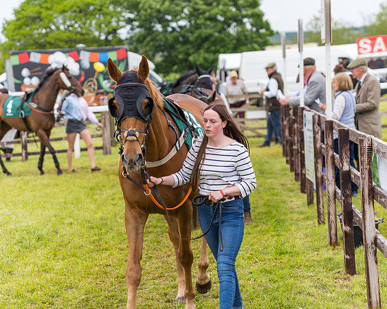 Race 7 - Veteran Horse conditions (21 of 244)