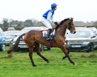Race 5 - Open Maiden (15 of 65).jpg