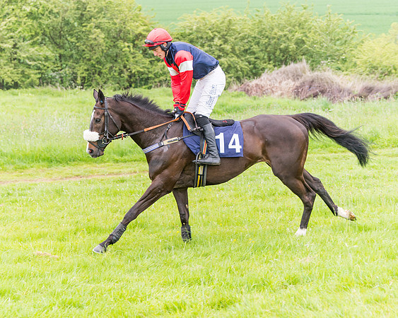 Race 6 - Maiden (22 of 129)
