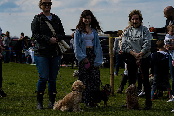 Dog show etc (113 of 157)