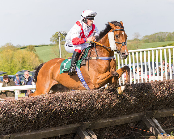 Race 4 - PPORA Novice Riders  (100 of 203)