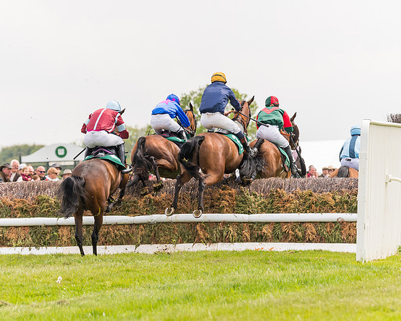 Race 2 - Owner-Trainer Conditions  (99 of 208)