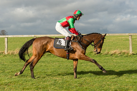 Race 2 - Young Horse Maiden (30 of 110).jpg