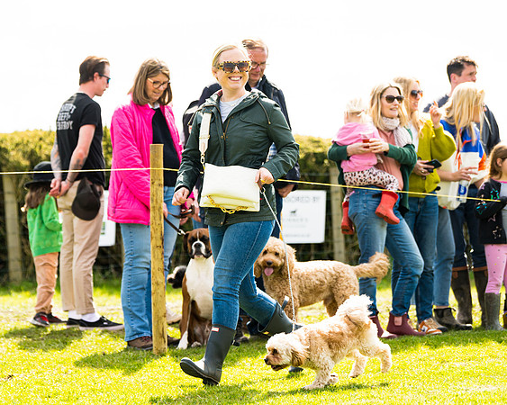 Dog show etc (81 of 157)